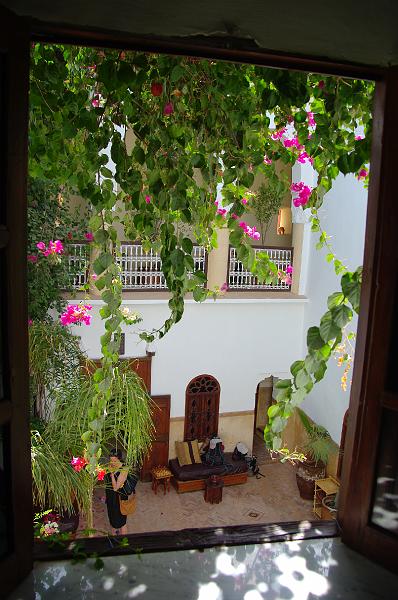 IMGP9691.JPG