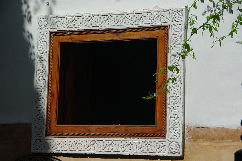 IMGP9707.JPG