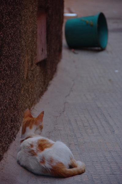 IMGP9711.JPG