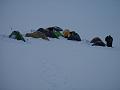 044.DSC09644