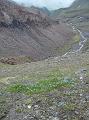 132.DSC09708