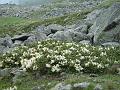 143.DSC09717