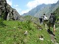 170.DSC09740