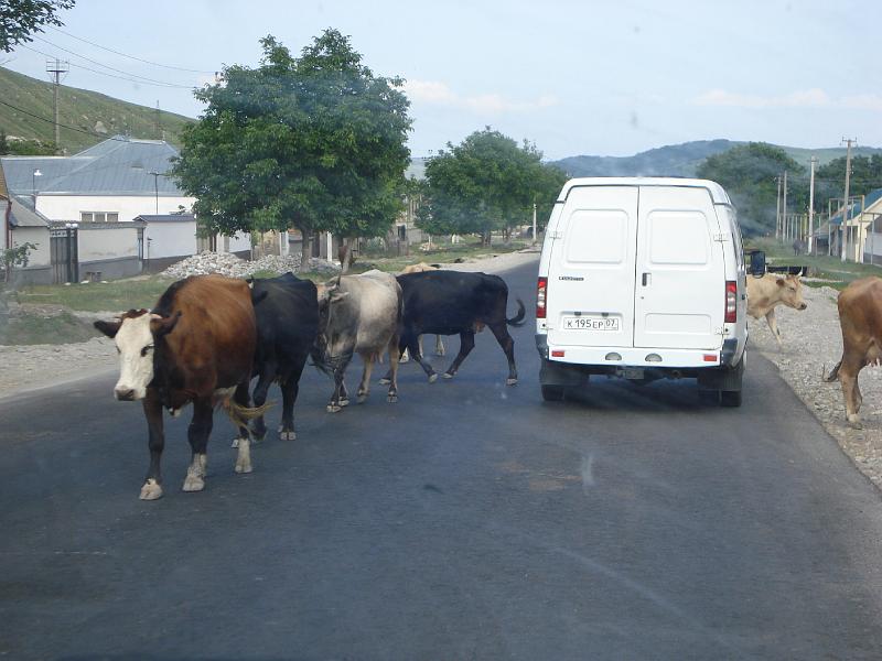 093.Piotrek_DSC08379.JPG