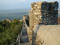 048.DSC09854