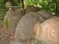 060.DSC09866