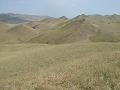 109.DSC09932