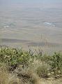 135.DSC09962