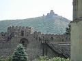 012.DSC09982