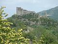 016.DSC09985