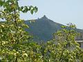 017.DSC09986