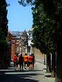 028.DSC00028