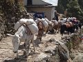 DSC01853