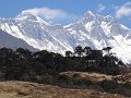 DSC01908