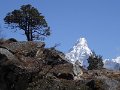 DSC01933