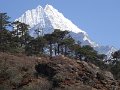 DSC01993