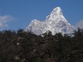 DSC01995
