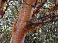 DSC02511