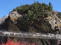 DSC02911