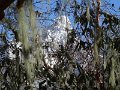 DSC02933