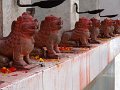 DSC03244
