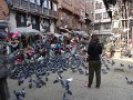 DSC03309