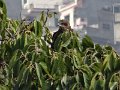 DSC03366