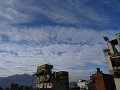 DSC03396
