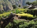 DSC07835