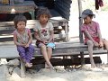 DSC07855