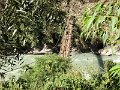 DSC07862