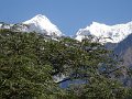 DSC07882