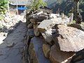 DSC07886