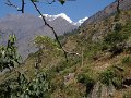 DSC07888
