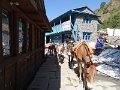 DSC07891