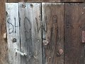 DSC07906