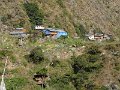 DSC07907