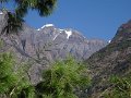 DSC07909