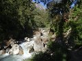 DSC07945