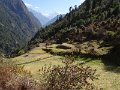 DSC07955