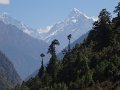 DSC07959