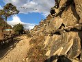 DSC08031b