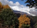 DSC08035