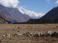 DSC08051