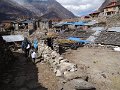 DSC08066