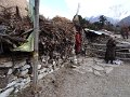 DSC08069