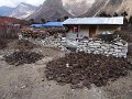 DSC08070