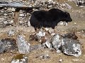DSC08084
