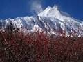 DSC08110