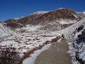 DSC08166